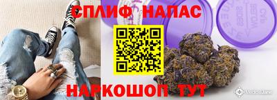 индика Ливны