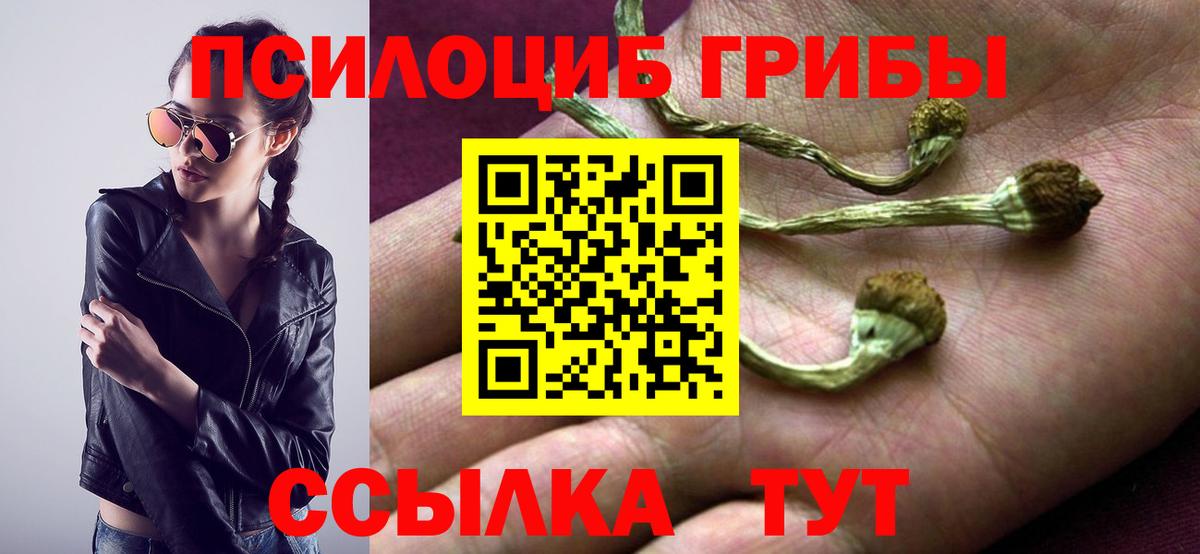 Псилоцибиновые грибы мухоморы Великие Луки